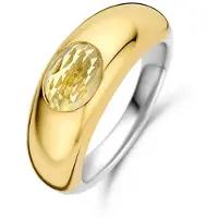 Ti sento 12173TY Damen-Bandring Silber vergoldet