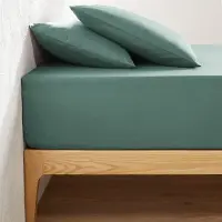 La redoute interieurs Einfarbiges Fixleintuch Scenario Aus Baumwolle, Steg 32 Cm
