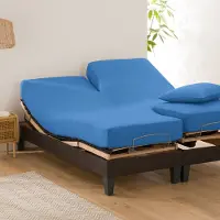La redoute interieurs Uni-fixleintuch Für Verstellbares Doppelbett Scenario, Baumwolle