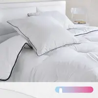 Bultex Sommer-duvet Mit Milbenschutz