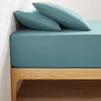 La redoute interieurs Einfarbiges Fixleintuch Scenario Aus Baumwolle, Steg 32 Cm