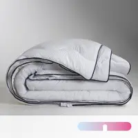 Bultex Übergangsduvet, 250 G/m²
