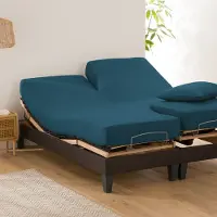 La redoute interieurs Uni-fixleintuch Für Verstellbares Doppelbett Scenario, Baumwolle