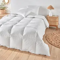 La redoute interieurs Extra-warmes Duvet Mit 90% Daunen Und Bio-baumwolle