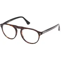 Web Herren WE5429 55 Rahmen von BRILLEN Acetat Havanna Rund Normal