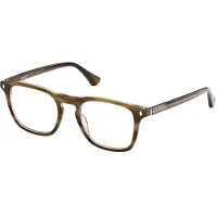 Web Herren WE5386 050 Rahmen von BRILLEN Acetat Braun Dunkel Quadratisch Normal
