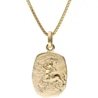 Trendor 15382-12 Schütze Sternzeichen Gold 333 mit vergoldeter Silberkette