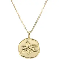 Trendor 68002-12 Halskette mit Monatsblume Dezember 925 Silber Vergoldet