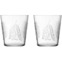 Iittala Wasserglas Taika Sato Klar 380 ml (2er-Set)
