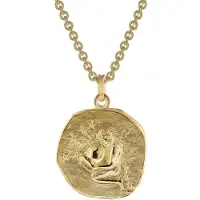 Trendor 39070-02 Wassermann Sternzeichen Ø 20 mm Herrenkette Gold auf Silber