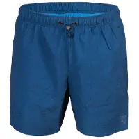 Arena Badehose Evo Ao