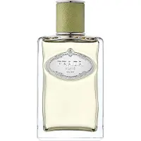 Prada Infusion De Vetiver Eau de Parfum 100 ml