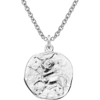 Trendor 08441-12 Sternzeichen Schütze mit Halskette 925 Silber Ø 16 mm