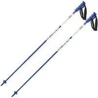 Salomon S/race Poles Carbon Silber 130 cm