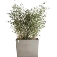 Ecopot's Blumentopf "Paris mit Rollen 85 Taupe", für den Außenbereich: frostsicher, bruchsicher und lichtbeständig