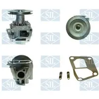 Saleri SIL Wasserpumpe PA699P
