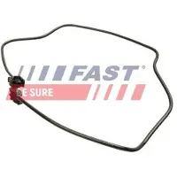 Fast Sports Nutrition Kühlerschlauch Wasserschlauch für FORD Fiesta Mk6 Schrägheck (JA8, JR8) FT61185
