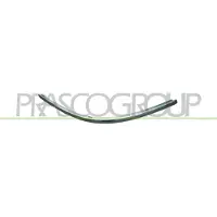 PRASCO Zier-/Schutzleiste, Stoßfänger Premium VG0531247