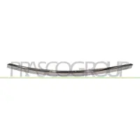 PRASCO Zier-/Schutzleiste, Stoßfänger AD0342103