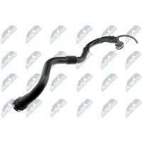 NTY GPP-RE-006 Turbo Ladeluftschlauch für RENAULT CLIO II (BB0/1/2, CB0/1/2) KANGOO (KC0/1) SCÉNIC II (JM0/1) MEGANE II Coupé-Cabriolet (EM0/1)