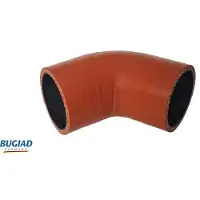 BUGIAD 82299 Turbo Ladeluftschlauch für LAND ROVER Discovery Sport (L550)