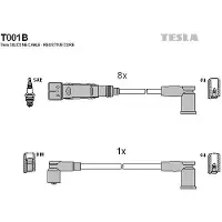 Tesla Zündleitungssatz T001B