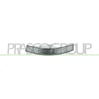 PRASCO Blinkleuchte DS9604113