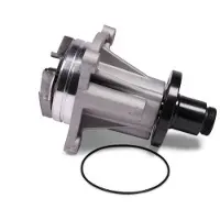 GK Wasserpumpe 982608