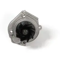 GK Wasserpumpe 981201