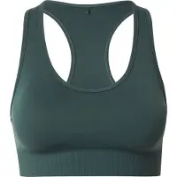 Only Play Sport-BH "ONPDAISY SEAM SPORTS BRA - NOOS" nahtlose Verarbeitung