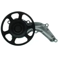 AISIN Wasserpumpe WPH-701