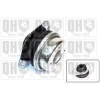 Quinton Hazell Motorlager Gummimetalllager für FIAT Scudo (270, 272) EM2518