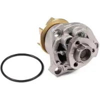 GK Wasserpumpe 980250