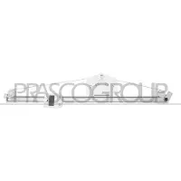 PRASCO Fensterheber DS950W011