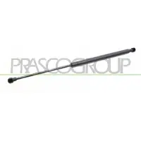 PRASCO Gasfeder, Koffer-/Laderaum PG4209055