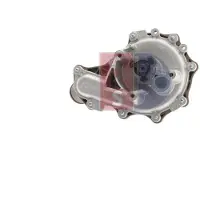 AKS Dasis Wasserpumpe 570185N