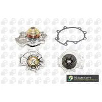 BGA Wasserpumpe CP6818T