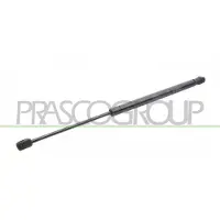 PRASCO Gasfeder, Koffer-/Laderaum FT1329055