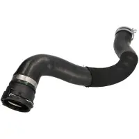 THERMOTEC Kühlerschlauch DWX249TT