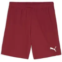 Puma Shorts TeamGloal