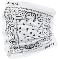 Barts Schal Multicol Paisly Weiß Unisex