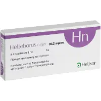 Helixor Helleborus Niger D 12 aquos.Ampullen 8 St Ampullen