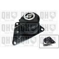 Quinton Hazell Motorlager Gummimetalllager für VW Lupo (6X1, 6E1) EM4198