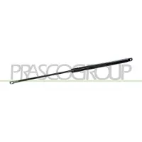 PRASCO Gasfeder, Koffer-/Laderaum FT1219055