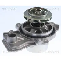 TRISCAN Wasserpumpe 8600 29084