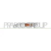 PRASCO Blinkleuchte VG6204314