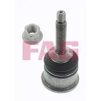 Fag Traggelenk Vorne für JAGUAR S-Type (X200) 825 0360 10