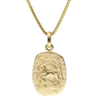 Trendor 15382-01 Steinbock Sternzeichen Gold 333 mit vergoldeter Silberkette