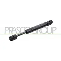 PRASCO Gasfeder, Koffer-/Laderaum VG0349065
