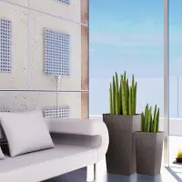 Prosperplast Blumentopf "Rato Square 400" BxTxH: 40x40x75 cm